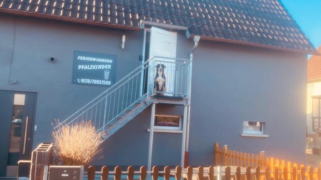 Pfalzkinder Neustadt an der Weinstraße 외부 사진